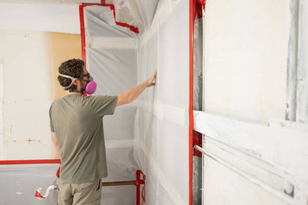 Best Mold Remediation for Vacation Homes  in Tracy, MN