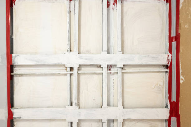 Best Biohazard Mold Removal  in Tracy, MN