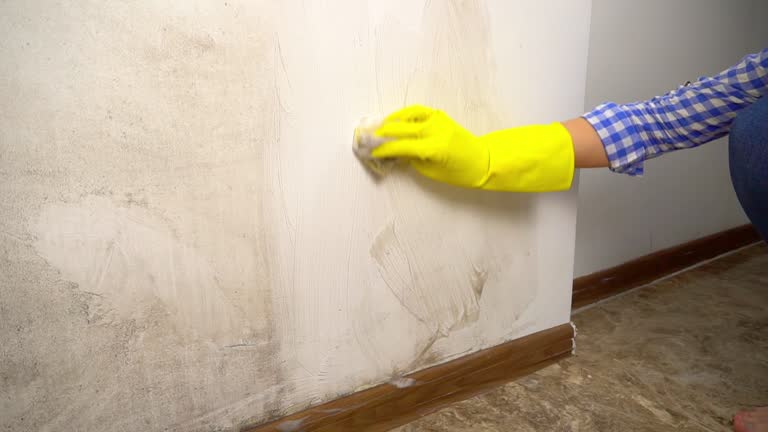 Environmental Consulting for Mold Prevention in Tracy, MN
