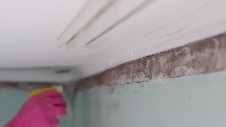 Best Indoor Air Quality Assessment  in Tracy, MN